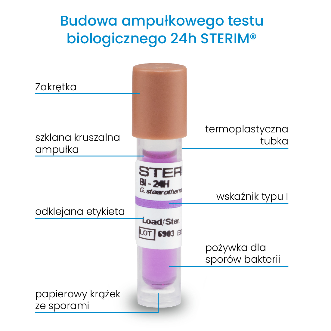Budowa ampułkowych testów biologicznych służących do przeprowadzania kontroli sterylizacji. Testy posadają fioletową pożywkę i nasączoną sporami bakterii tabletkę. Całość zamknięta jest w kruszalnej szklanej ampułce oraz termoplastycznej tubce.