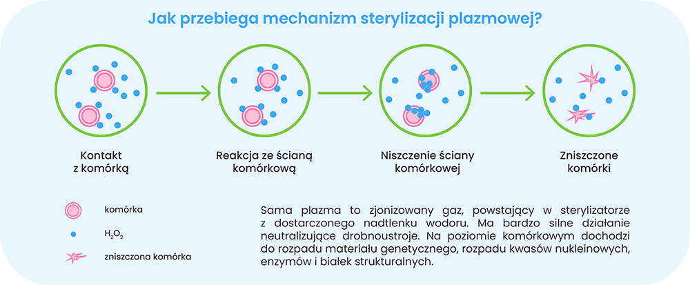 Schemat przedstawiający działanie sterylizacji plazmowej. W trakcie sterylizacji niskotemperaturowej następuje niszczenie komórek.